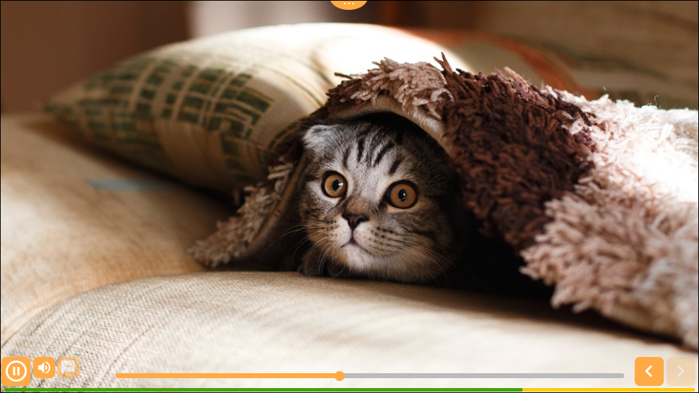 EN-AudioWithImage-Overview.png