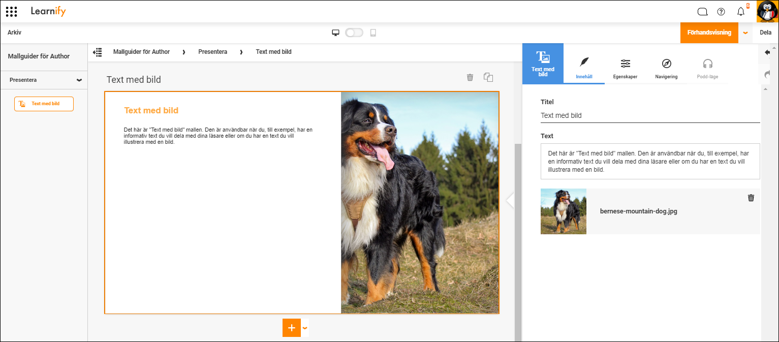 SV-TextMedBild-EditorView.png