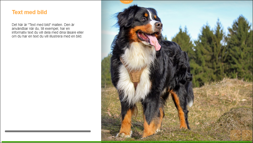 SV-TextMedBild-Overview.png