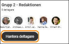 SV-FT-Chat_ManageParticipants.png
