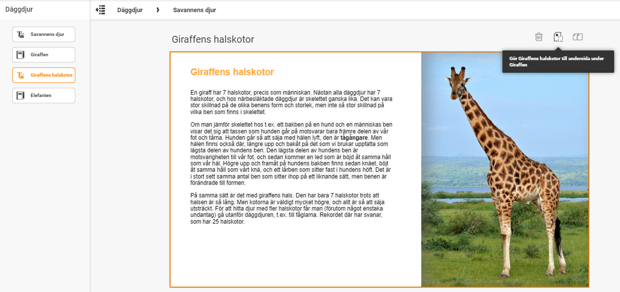 Sida-Undersida.png