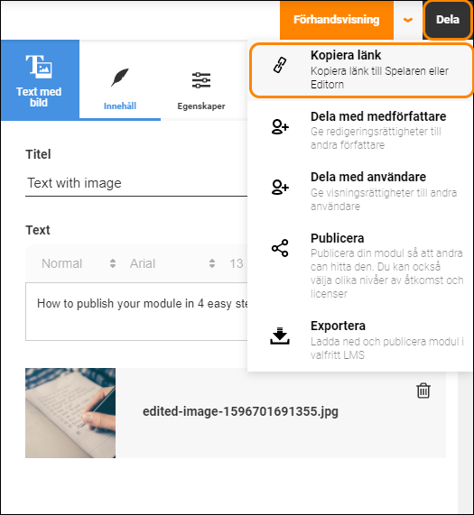 SV-ShareLink-EditorView.png