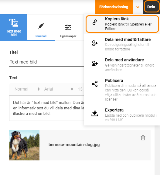 SV-ReviewMode-Overview.png