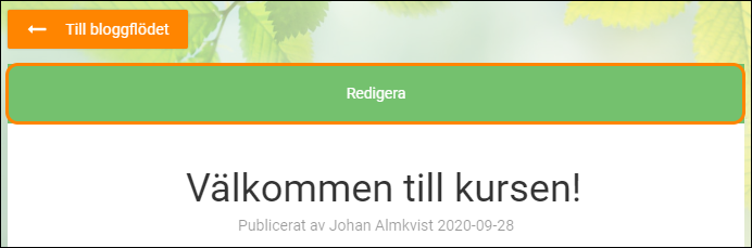 SV-Blog-EditPost_EditOverview.png